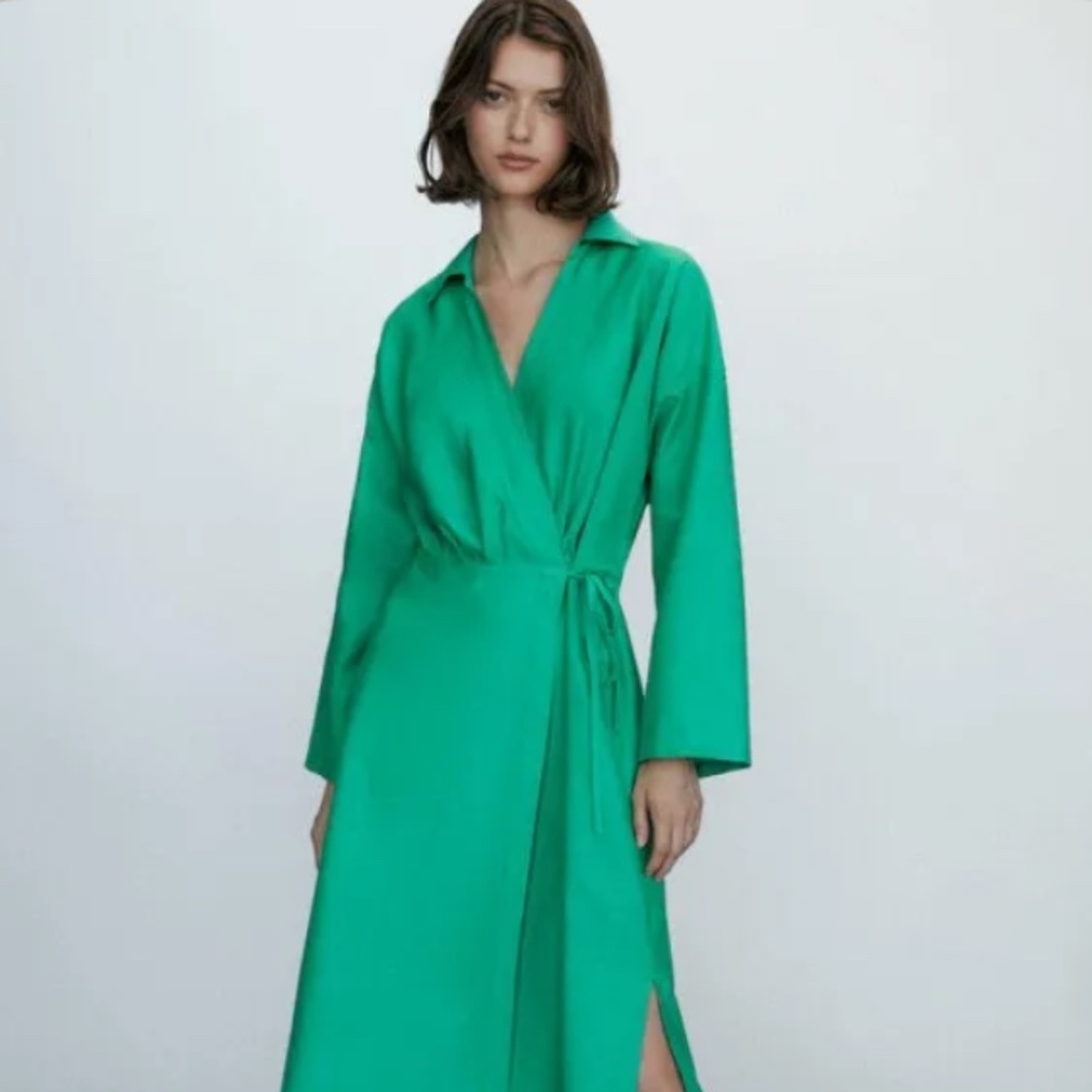 Massimo Dutti Dress